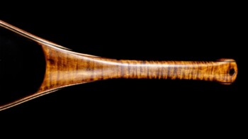 #244 Tiger Maple w/ Sapele hoop